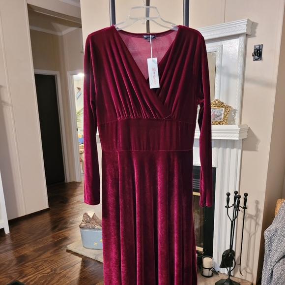 Dresses & Skirts - Burgundy Wine Velvet Gown